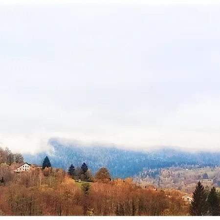 Le Petit Fremis / 5 Kms Des Pistes / Axe Nancy-thann Apartment Saint-Maurice-sur-Moselle
