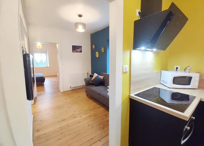 Le Petit Fremis / 5 Kms Des Pistes / Axe Nancy-thann 公寓 *