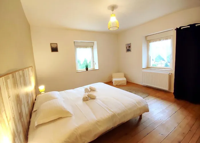 公寓 Le Petit Fremis / 5 Kms Des Pistes / Axe Nancy-thann 莫河畔圣莫利斯