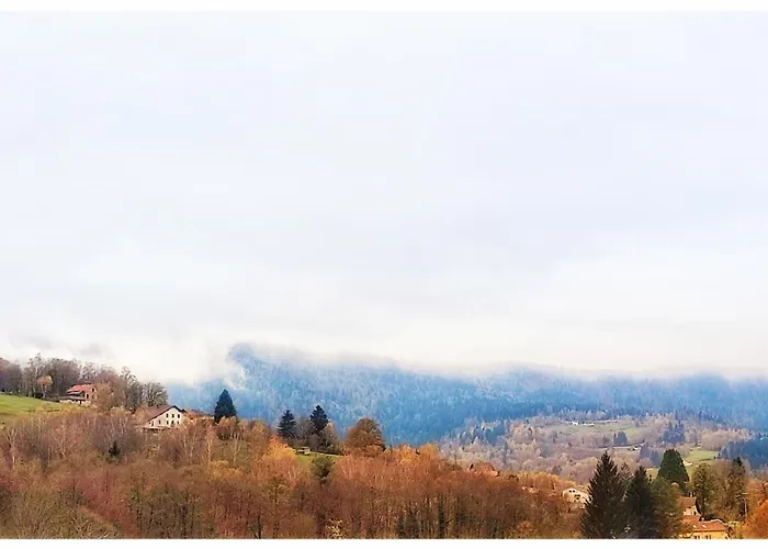 Le Petit Fremis / 5 Kms Des Pistes / Axe Nancy-thann 公寓 莫河畔圣莫利斯