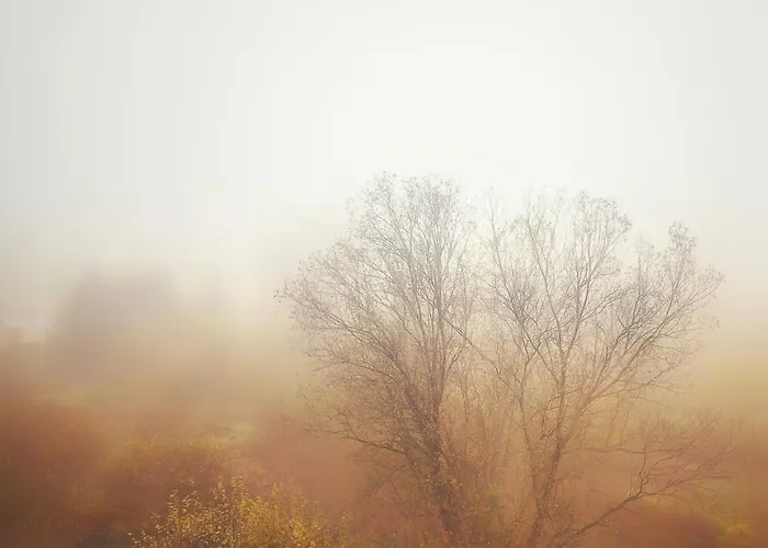 公寓 Le Petit Fremis / 5 Kms Des Pistes / Axe Nancy-thann